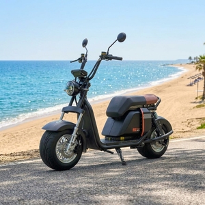 Venta al por mayor de fábrica: Scooter de dos ruedas con batería de litio de 1000W 20Ah, neumático ancho de aluminio, motor potente SS701 de 1000W. - Product Image 1