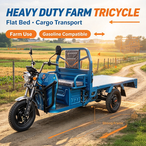 Triciclo de Pasajeros Nuevo 2026 con Techo y Batería de Litio de 60V para Transporte Agrícola de Adultos, Carro Cerrado de Alta Resistencia - Product Image 5