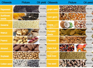 Buen precio para máquina <span class=keywords><strong>de</strong></span> prensa <span class=keywords><strong>de</strong></span> aceite <span class=keywords><strong>de</strong></span> nuez aceite hidráulico Prensa en frío expeller cacahuete calabaza prensa <span class=keywords><strong>de</strong></span> aceite - Product Image 6