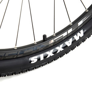 NUEVA Bicicleta Eléctrica LEAO EM5-2nd 2026 con Motor Central, Bicicleta de Montaña Eléctrica de Aluminio, 48V Bafang, Bicicletas Eléctricas de Montaña en Venta - Product Image 5