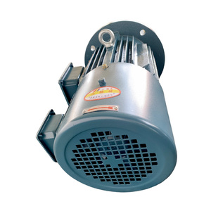 Moteur à fréquence variable YVF2, moteur à induction triphasé, inverseur, IP55, faible bruit, large plage de vitesse, moteur AC industriel - Product Image 4