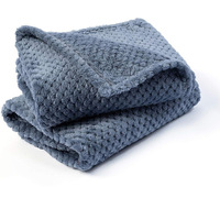 Couverture en polaire ananas douce et unie en polyester personnalisée pour animaux de compagnie (chiens, chats) – Idéale pour canapé, siège de voiture, tapis de couchage – Vente en gros