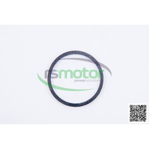 Anillo de sellado para controladores de motor Jenbacher - Product Image 2