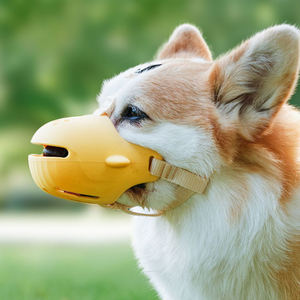 EVA 부드러운 소재 개 총구 바구니 총구 씹는 씹는 청소 청소 그루밍 껍질 제어를위한 인도적 케이지 입 커버 - Product Image 6