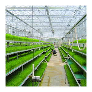 Pellicola Agricola in Plastica <span class=keywords><strong>PEP</strong></span> per Serre, Film di Polietilene in Offerta - Product Image 2