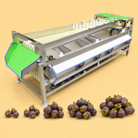 Machine de tri et de calibrage intelligente automatique pour fruits et légumes (oignon, mangoustan, myrtille, avocat, datte, tomate)