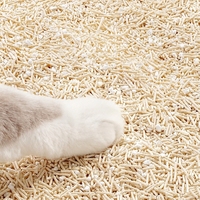Litière pour chat en tofu écologique, hautement absorbante, ultra faible en poussière, contrôle efficace des odeurs, pattes propres, approvisionnement en vrac OEM