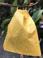 Sac de culture de fruits en papier kraft brun double couche, imperméable, forme carrée, taille personnalisée, sans poignée, pour verger et ferme - Offre Spéciale
