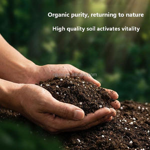 <span class=keywords><strong>Terreau</strong></span> nutritif organique brun pour plantes succulentes, tourbe fertilisante naturelle pour l'agriculture extérieure des légumes et des plantes - Product Image 5