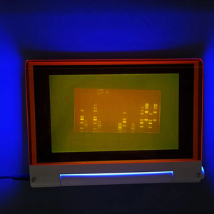 Transiluminador de Luz Azul de 470nm para Electrophoresis en Gel, Instrumento de Laboratorio para Visualización de ADN y ARN en Gel, Venta al por Mayor de Fábrica OEM - Product Image 6