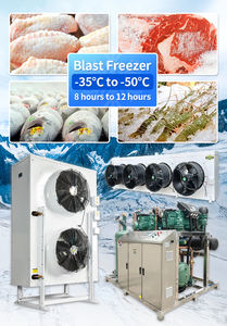 -45 מעלות יחידת קירור פיצוץ יחידת פיצוץ דגים - Product Image 4