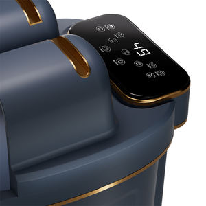 Máquina de Desintoxicación Iónica para Pies Ion Cleanse con Cinturón, Spa Iónico Dual para Pies, Masajeador de Baño para Pies - Product Image 3