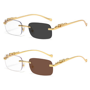 2572 Nuovi Occhiali da Sole Quadrati Senza Montatura in Metallo, Lenti Colorate UV400 Unisex con Decorazioni a Motivo Ghepardo - Product Image 2