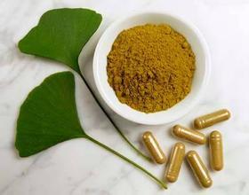 Poudre d'extrait de feuilles de <span class=keywords><strong>Ginkgo</strong></span> Biloba séché à <span class=keywords><strong>prix</strong></span> de charge Meilleur extrait de <span class=keywords><strong>Ginkgo</strong></span> Biloba - Product Image 4