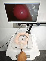 Modèle de colon modèle de formation à la coloscopie modèle de Simulation de coloscopie réaliste douce formation en soins infirmiers éducation en sciences médicales