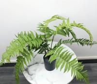 Plante Artificielle en Gros, Plante en Pot, Faux Feuillage Décoratif pour Bureau, Maison, Hôtel, Magasin, Bonsaï Décoratif