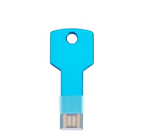 Aangepaste Groothandel Sleutel Stick Usb Flash Drive 4Gb 8Gb 16Gb 32Gb 64Gb Pendrive Usb2.0 3.0 Stick Usb Drive Usb Flash Retail Usb Sleutel