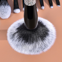 Daily Queen Mor-phe Ensemble de 10 pinceaux de maquillage vegan nano de luxe avec application douce et sensation opulente, logo personnalisé