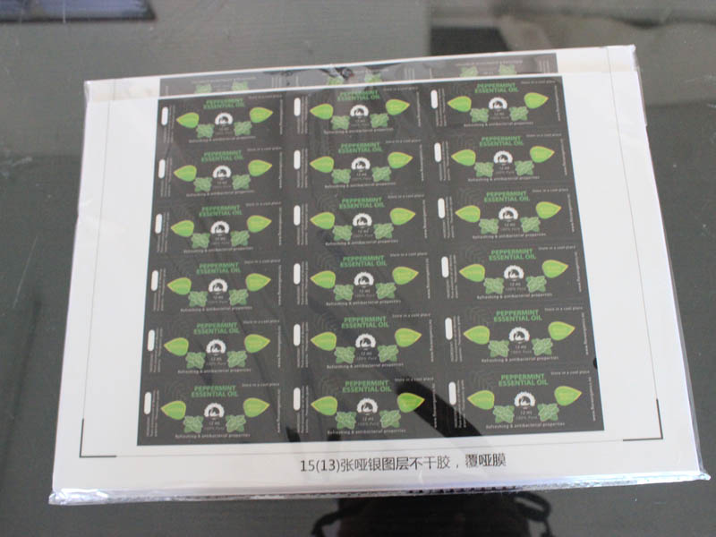 Professional Printing Customized Roll Paper Adhesive Label for Shipping