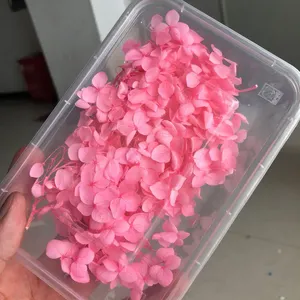 Flores de Hortensia Secas de Alta Calidad para Decoración de Bodas, <span class=keywords><strong>Hortensias</strong></span> Preservadas - Product Image 4