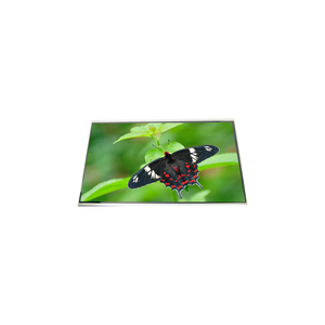 LP141X1 Pantalla LCD CCFL de 14.1 pulgadas 1024*768, Módulo LCD TFT - Product Image 1