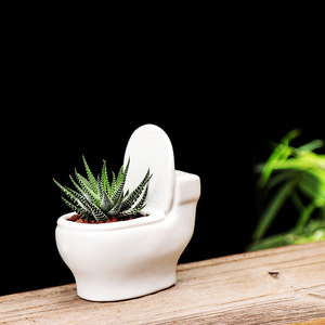 Vaso <span class=keywords><strong>da</strong></span> fiori bianco in ceramica succulenta creativo europeo <span class=keywords><strong>balcone</strong></span> che pianta <span class=keywords><strong>piante</strong></span> verdi vaso <span class=keywords><strong>da</strong></span> fiori piccolo Hotel - Product Image 2