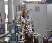 Machine de remplissage de bouteilles de bière en acier inoxydable haute efficacité, prête à être expédiée, vente en gros, approuvée CE