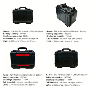 Batterie marine LiFePO4 à décharge profonde 12,8 V 25,6 V 100 Ah 200 Ah étanche au lithium-ion pour moteur de pêche à la traîne et applications solaires – Vente en gros - Product Image 5