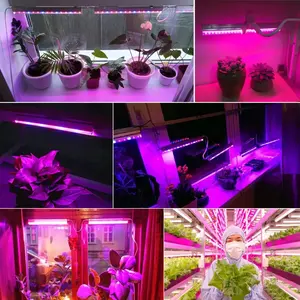 New Indoor Growing Fixtures T5 Tube Lighting 5W 9W Full Spectrum Plant LED Grow Light Greenhouse