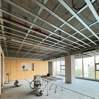 Matériaux de construction métalliques modernes de luxe résistants au vent fabriqués en Chine, structure en acier préfabriquée pour villa