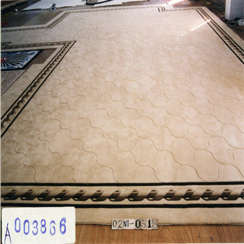 Hand Tufted carpet