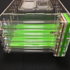 Acrylic Ant Housing Flat Packed Ant Formicarium with 5pcs test Tubes - Product Image 3