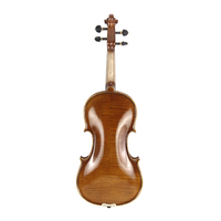 Violon professionnel taille haute pour violon professionnel, livraison gratuite, accessoires de qualité supérieure