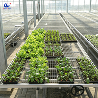 Banc roulant à prix d'usine avec dimensions personnalisées, lit de semis en maille pour serre et pépinière de légumes