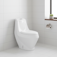Toilette moderne à double chasse d'eau Réservoir dissimulé avec cuvette allongée Placard de toilette en céramique monobloc fabriqué en Chine