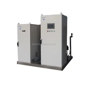 80G 100G 120G 150G 180G 200G Ozongenerator Voor Waterzuiveringsinstallatie