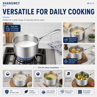 Casserole en acier inoxydable 304 à 5 plis, ustensile de cuisine multifonctionnel moderne et luxueux pour lait pour bébé, soupe, pâtes, capacité de 2 L