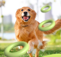 Bâton de jeu interactif pour chien en silicone écologique, résistant aux morsures et aux griffures, pour l'entraînement – Design tendance, portable pour l'extérieur