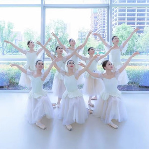 Gonna da Balletto per Adulti, Tutù in Rete per Competizioni di <span class=keywords><strong>Danza</strong></span>, Gonna Lunga con Velo, Abbigliamento di Alta Qualità per Spettacoli di <span class=keywords><strong>Danza</strong></span> di Gruppo - Product Image 6