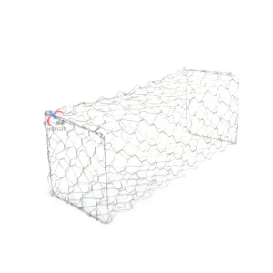 Good Price for Sale Woven Wire Mesh Galvanized/PVC coated Hexagonal Gabion Basket