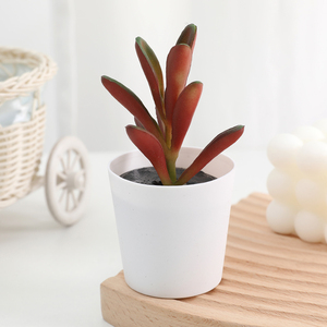 Duofu Mini olla de plástico combinación Decoración de mesa sensación planta de simulación bonsái maceta <span class=keywords><strong>artificial</strong></span> - Product Image 3