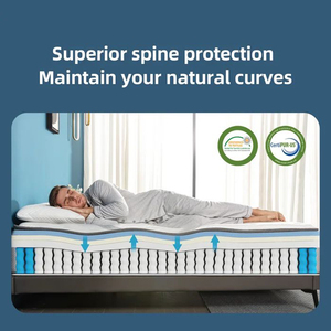 Nhà Máy Nén Vua Mùa Xuân Nệm Chỉnh Hình 190200 Cuộn Dây Mật Độ Cao Bộ Nhớ Bọt Nệm Trong Một Hộp - Product Image 4