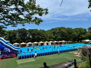 Piscine hors sol en PVC avec structure métallique, grand bassin de natation <span class=keywords><strong>d</strong></span>'été, piscine hors sol en PVC avec structure métallique - Product Image 1
