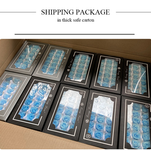 Fai da te materia di fiori di rosa grezza decorazione a cupola regalo 21 pezzi 2 - 3 cm rose mini desktop pianta da giardino rose stabilizzate - Product Image 6