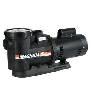 Pompe à eau de piscine électrique Topguy KP1005 avec filtre 1HP 220V/50Hz et dissipation thermique interne - Product Image 1