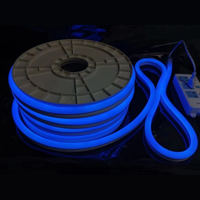 Outdoor Engineer Project Flexible Decorative Strip Light 110V 220V Waterproof IP65 RGB LED Flex Neon Lights