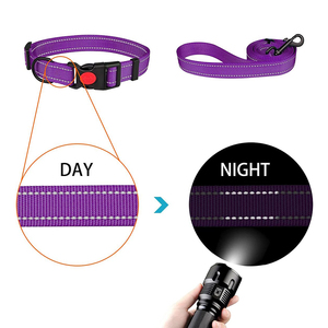 कारखाने थोक समायोज्य कुत्ते कॉलर पट्टा सेट प्रतिबिंबित नायलॉन छोटे मध्यम और बड़े पालतू जानवरों के लिए सुरक्षा लॉक बकल - Product Image 2