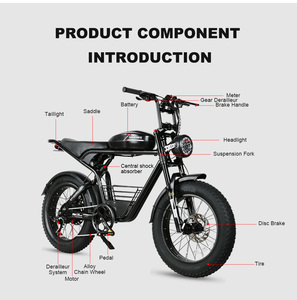 OEM/ODM 1000D electric mountain bike 48V Fat Tire Electric <b>Bicycle</b> with Rear Hub Brushless Motor Steel <b>Frame</b> Lithium Battery - Product Image 2