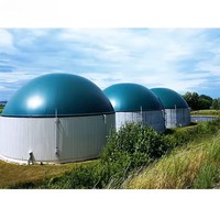 NUOVISTA Goedkope Kleinschalige Anaerobe Digestieproces Melk- en Voedselafvalverteringsinstallatie Biogasinstallatie Systeem Met Cogeneration
