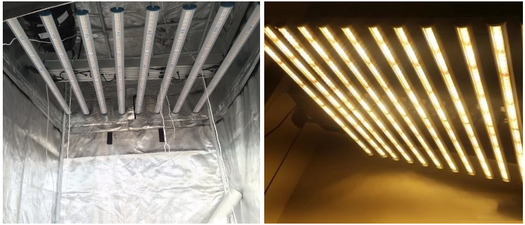 ETL Cuerpo de aluminio LED Planta ajustable Microgreens Lechuga hidropónica Espectro completo Led Grow Light 640W